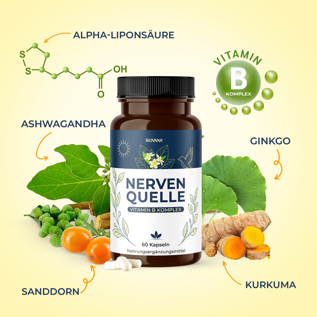 Nervenquelle Nahrungsergänzung mit markierten Zutaten wie Ginkgo, Kurkuma und Ashwagandha