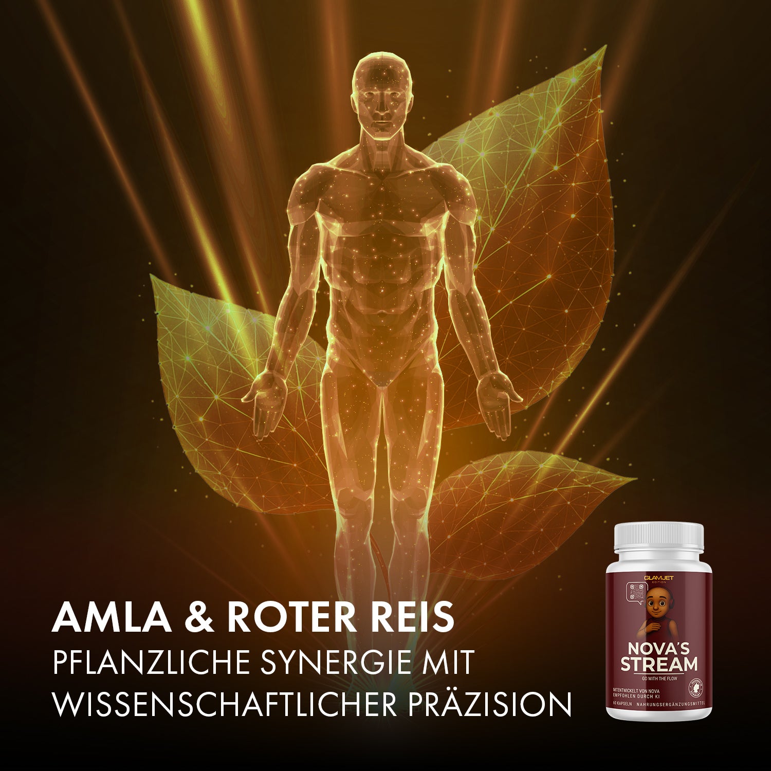 Leuchtende Figur vor Blattformen mit Text zu Amla, rotem Reis und Dose NOVA'S STREAM