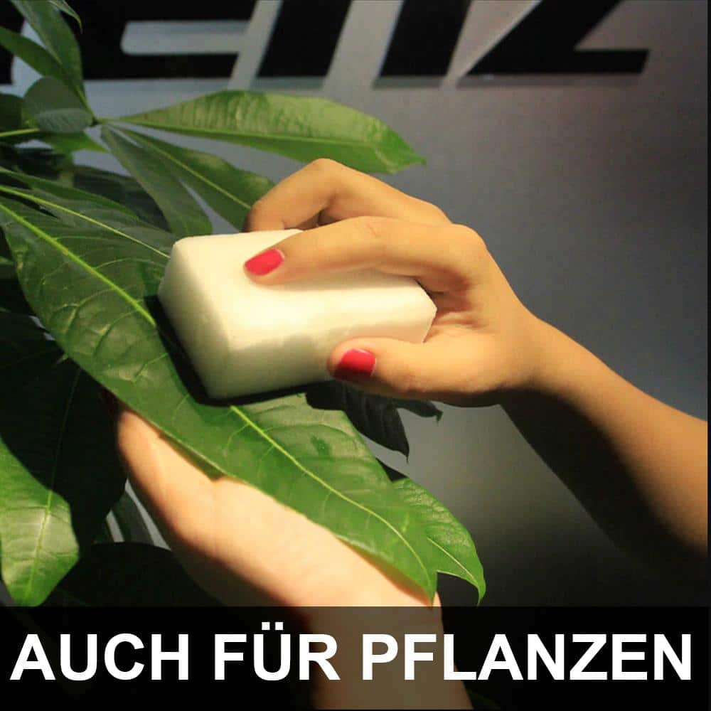 Grüner Teufel Schwamm - auch für Pflanzen - ApoNatura