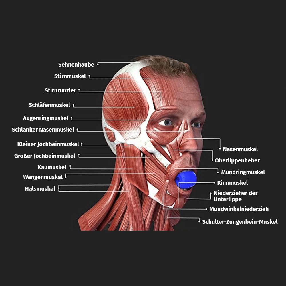 Grafik eines männlichen Gesichts mit sichtbaren Gesichtsmuskeln und blauem Kinntrainer im Mund