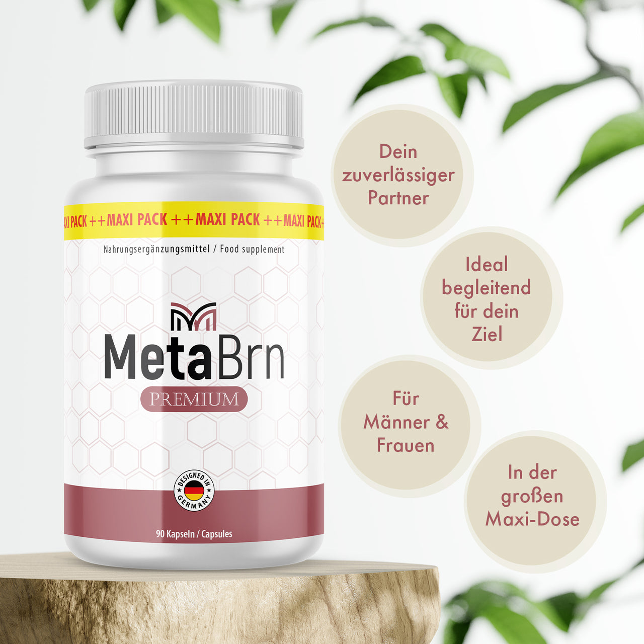 Dose MetaBrn Premium auf Holzpodest, daneben beige Infokreise und grüne Blätter im Hintergrund
